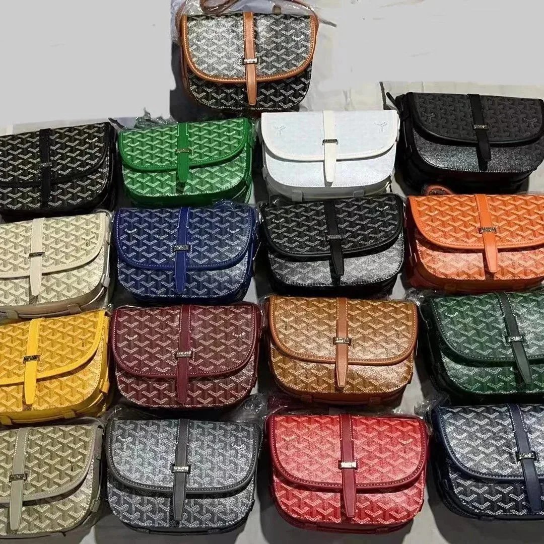 Goyard Multi-Color Saddle Bag