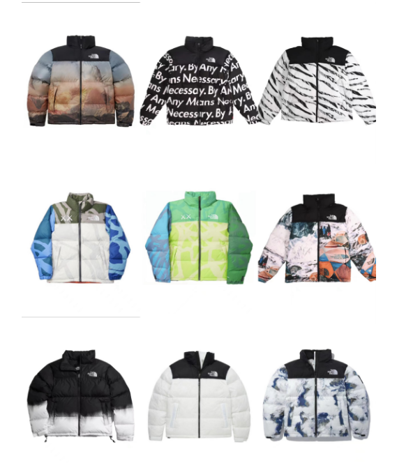 The North Face Colorful Puffer Jackets